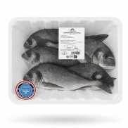 Daurade Royale Élevage 2KG