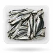 Sardine Bretagne 2KG