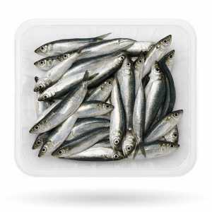 Sardine Bretagne 2KG